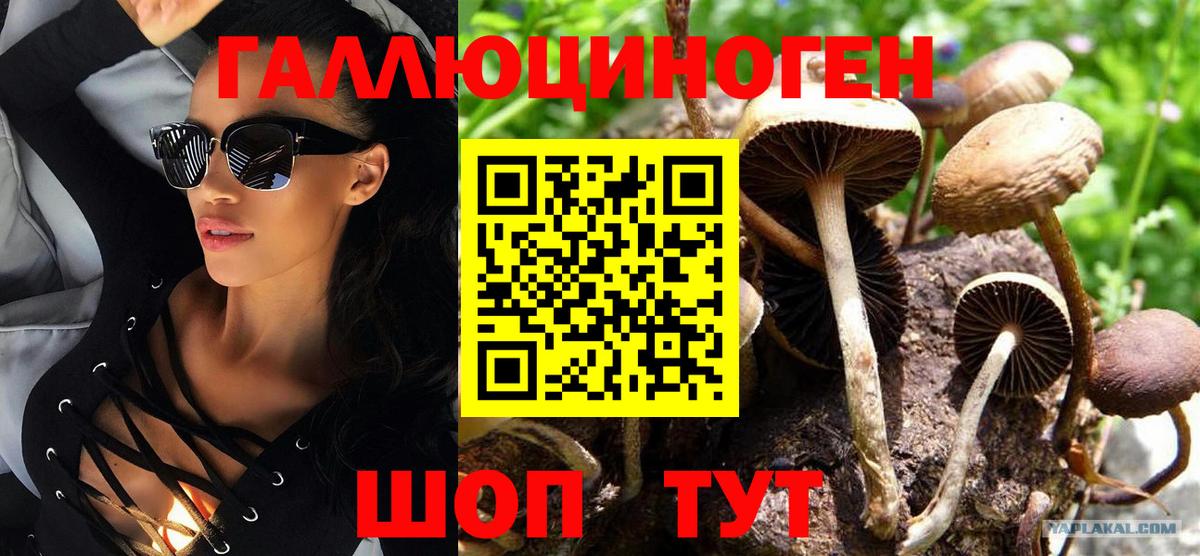 Галлюциногенные грибы Cubensis Мытищи
